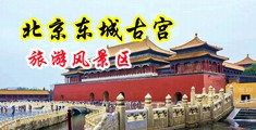 插b操穴网站在线观看中国北京-东城古宫旅游风景区